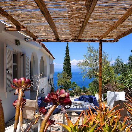New! Paxoswhite Sea View Apartments & Studios! Gaios Exterior foto